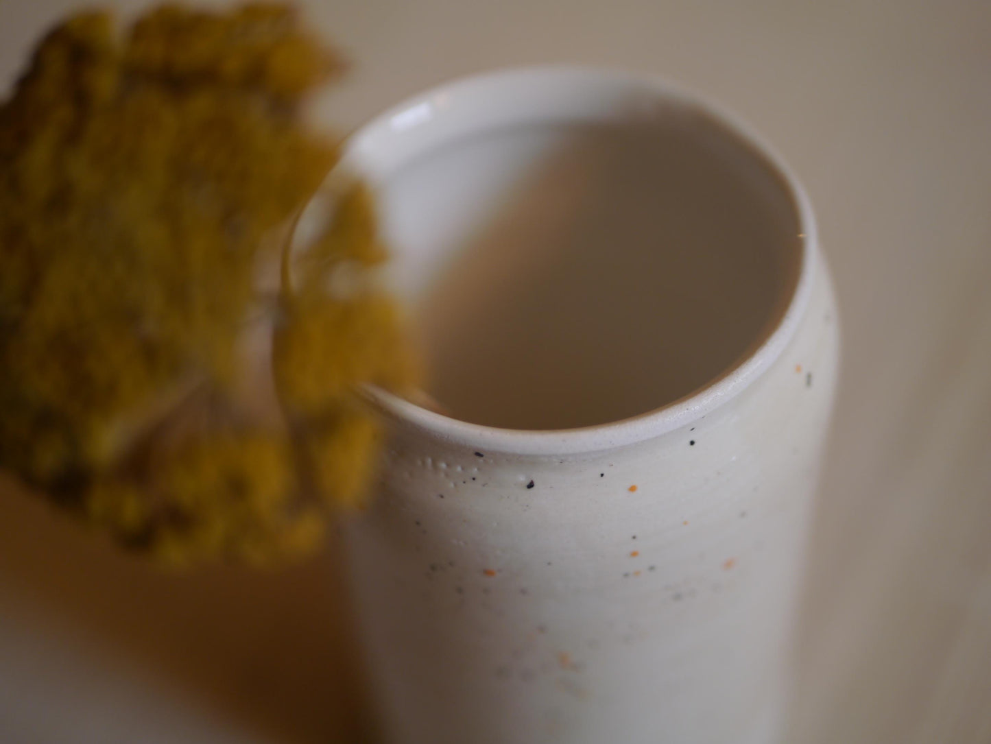 VASE de LOUANGE  "L'herbe sèche, la fleur tombe; Mais la parole de notre Dieu demeure éternellement." Esaïe 40